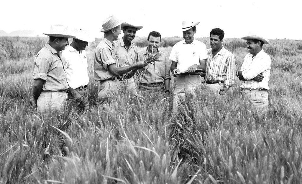 Dr. Norman Borlaug in Mexico